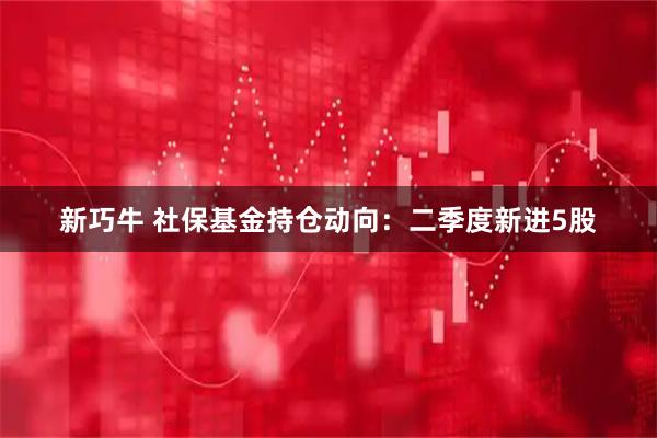 新巧牛 社保基金持仓动向：二季度新进5股