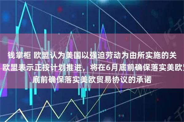 钱掌柜 欧盟认为美国以强迫劳动为由所实施的关税是不合理的；欧盟表示正按计划推进，将在6月底前确保落实美欧贸易协议的承诺